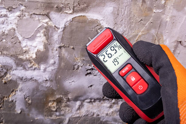 Best Attic Mold Removal  in Park View, IA