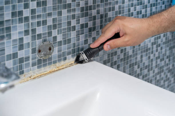 Best Fast Mold Removal  in Park View, IA