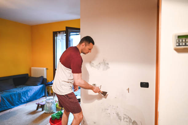 Best Affordable Mold Removal  in Park View, IA