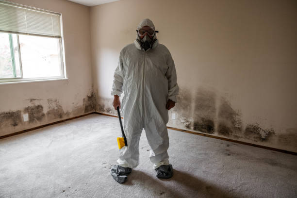 Best Mold Remediation Services  in Park View, IA